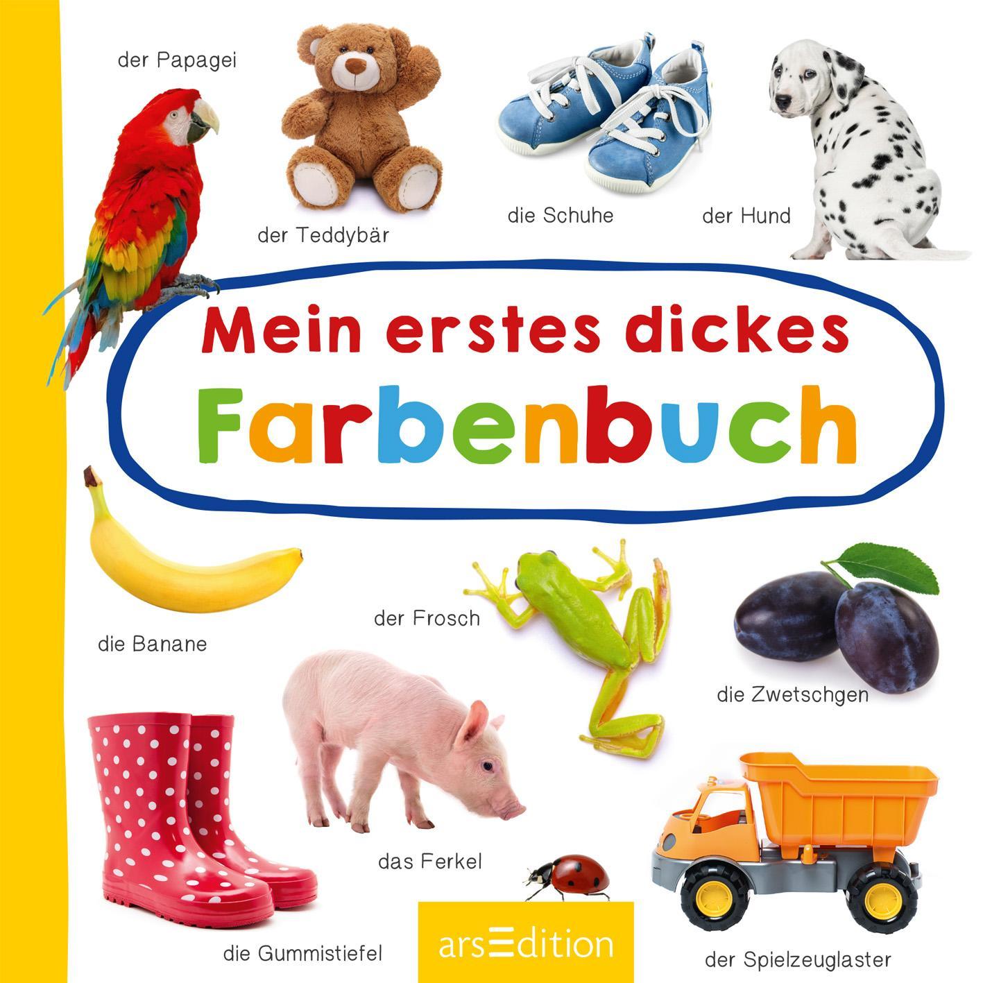 Bild: 9783845837338 | Mein erstes dickes Farbenbuch | Buch | 40 S. | Deutsch | 2020