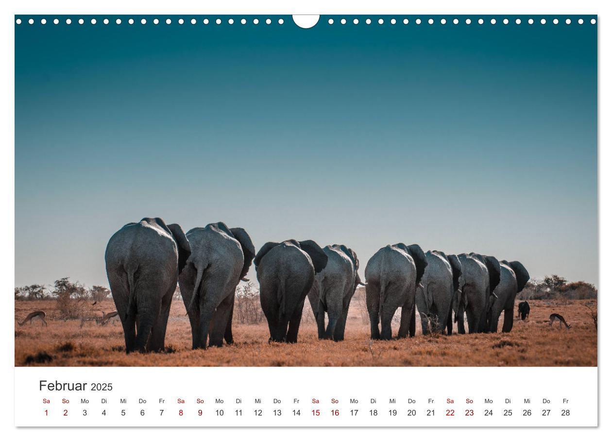 Bild: 9783383985300 | Namibia - Das wunderschöne Land am Atlantik. (Wandkalender 2025 DIN...