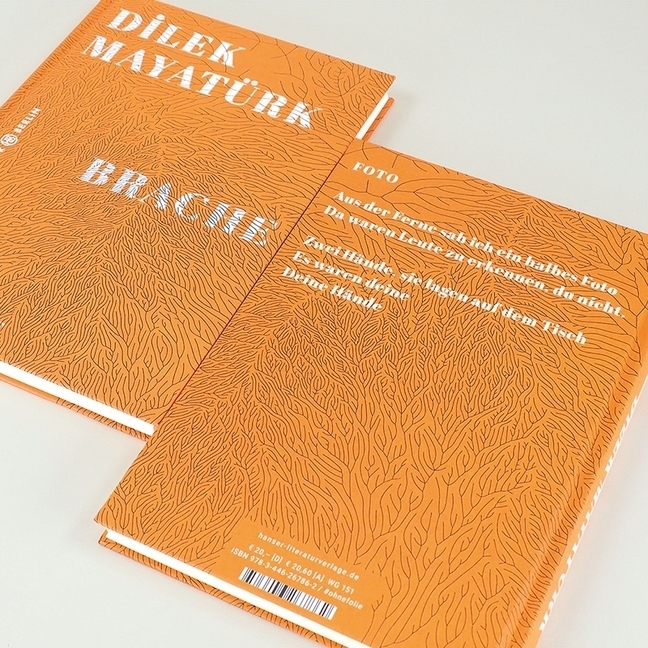 Bild: 9783446267862 | Brache | Gedichte | Dilek Mayatürk | Buch | 112 S. | Deutsch | 2020