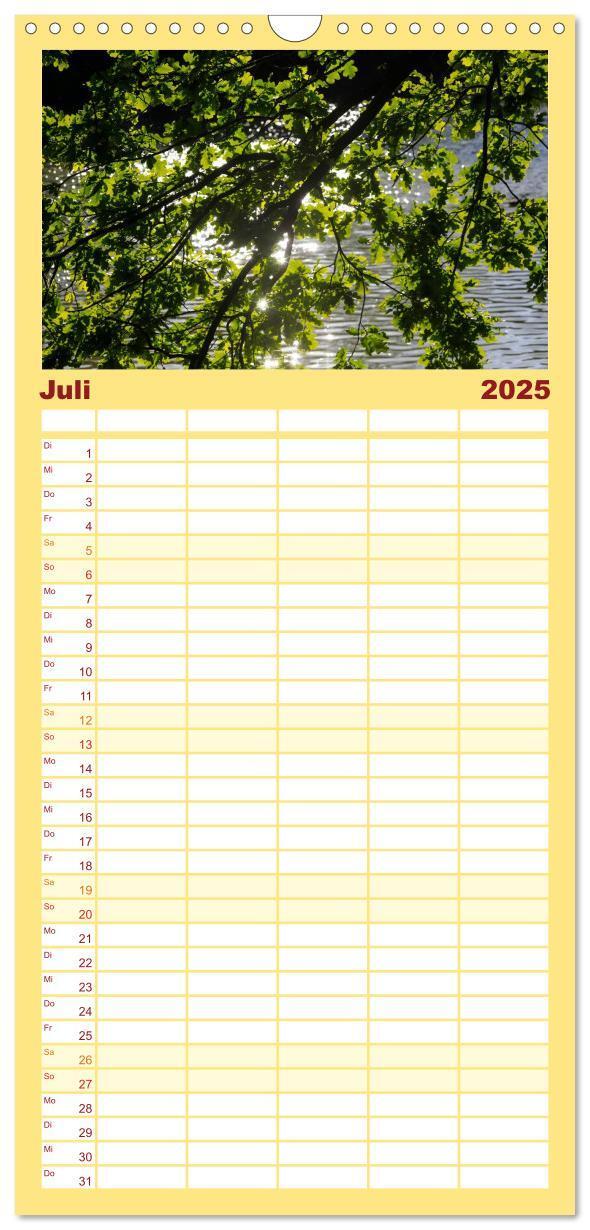 Bild: 9783457105207 | Familienplaner 2025 - Blätter mit 5 Spalten (Wandkalender, 21 x 45...