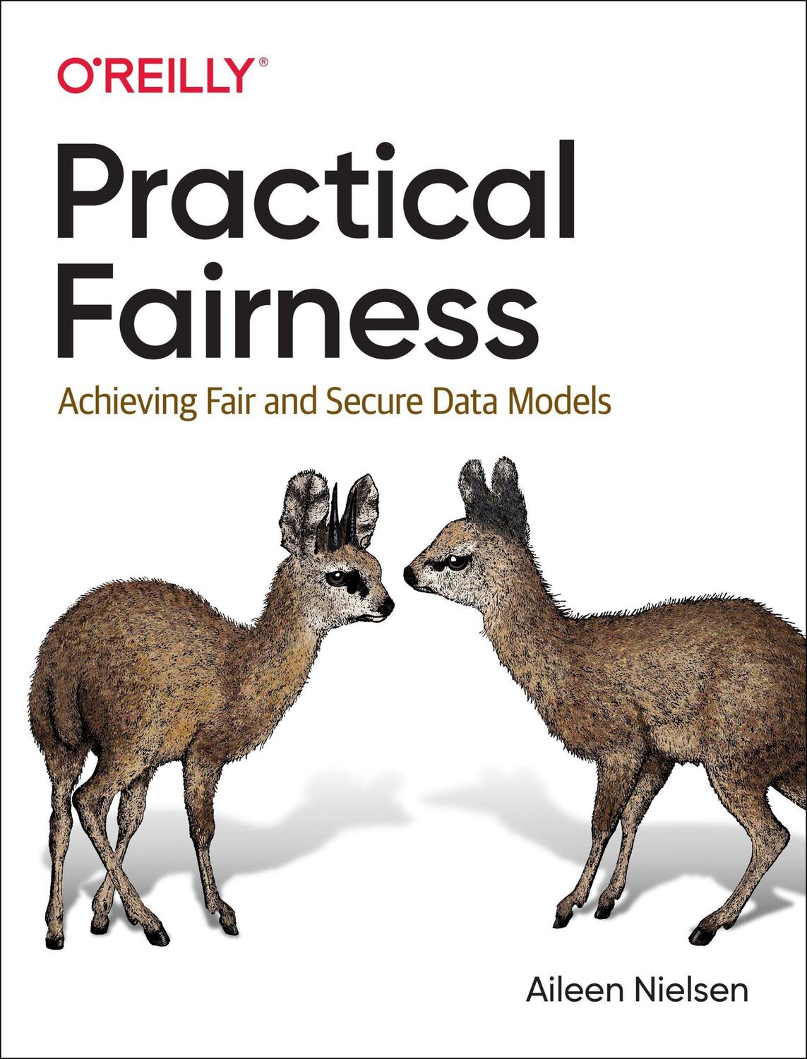 Cover: 9781492075738 | Practical Fairness | Achieving Fair and Secure Data Models | Nielsen