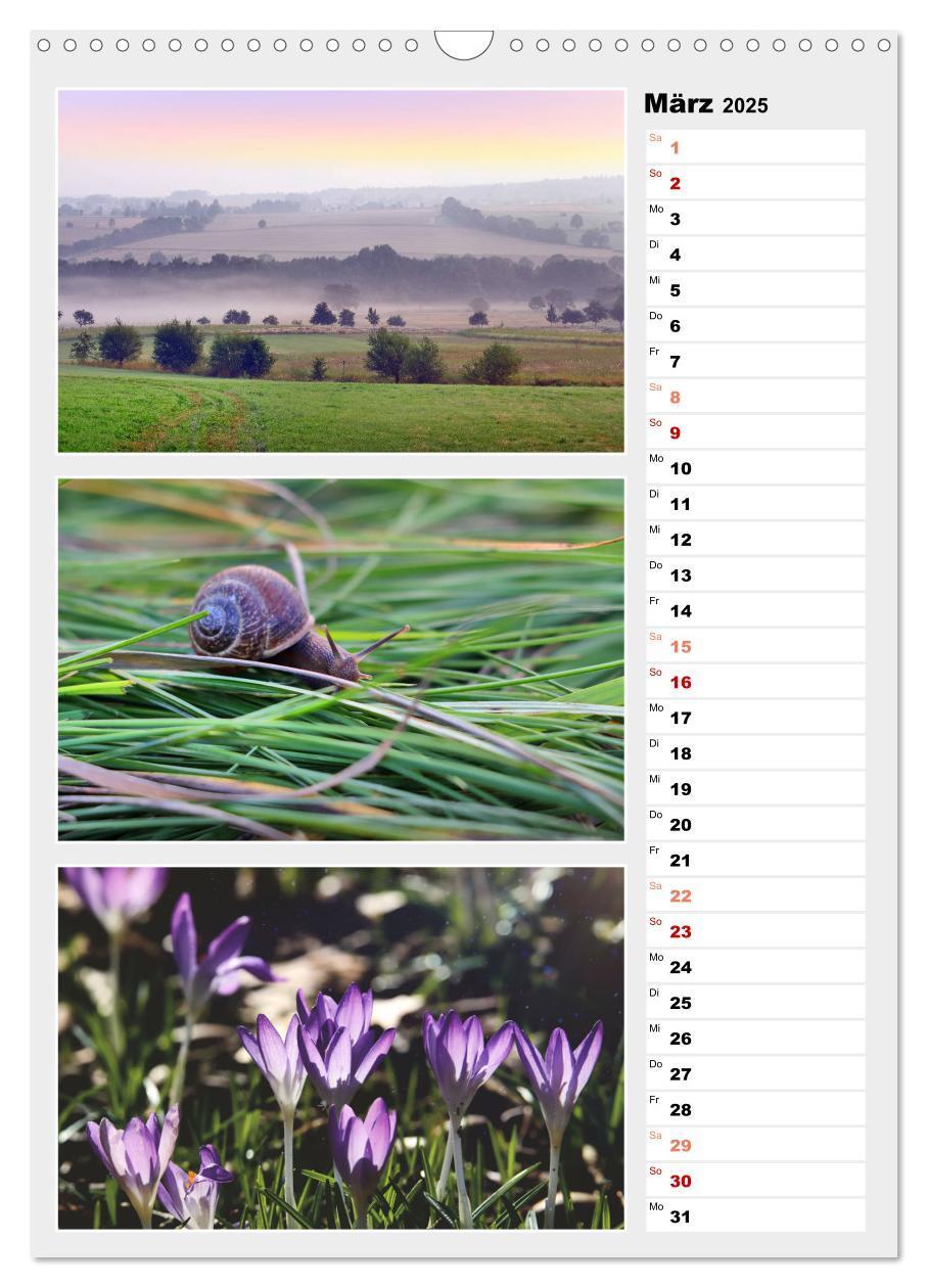 Bild: 9783435889280 | Zauberhafte Farben der Natur (Wandkalender 2025 DIN A3 hoch),...