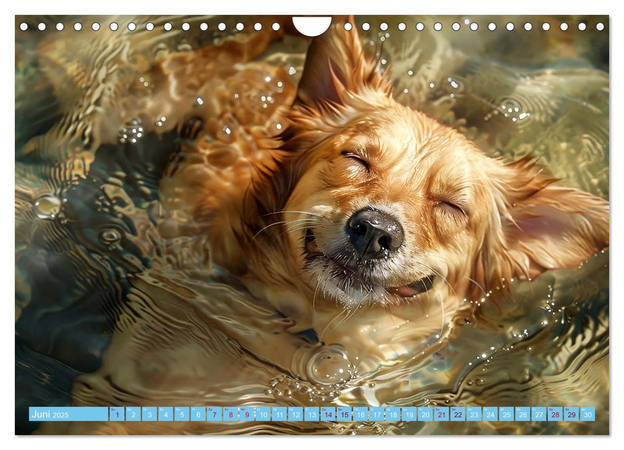 Bild: 9783457129227 | Hunde und Wasser (Wandkalender 2025 DIN A4 quer), CALVENDO...