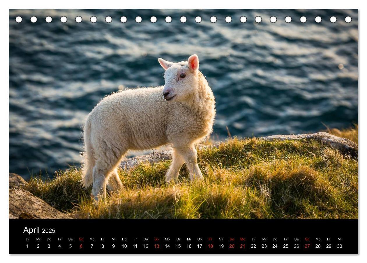 Bild: 9783435568079 | Schottland - Die wundervolle Isle of Skye (Tischkalender 2025 DIN...