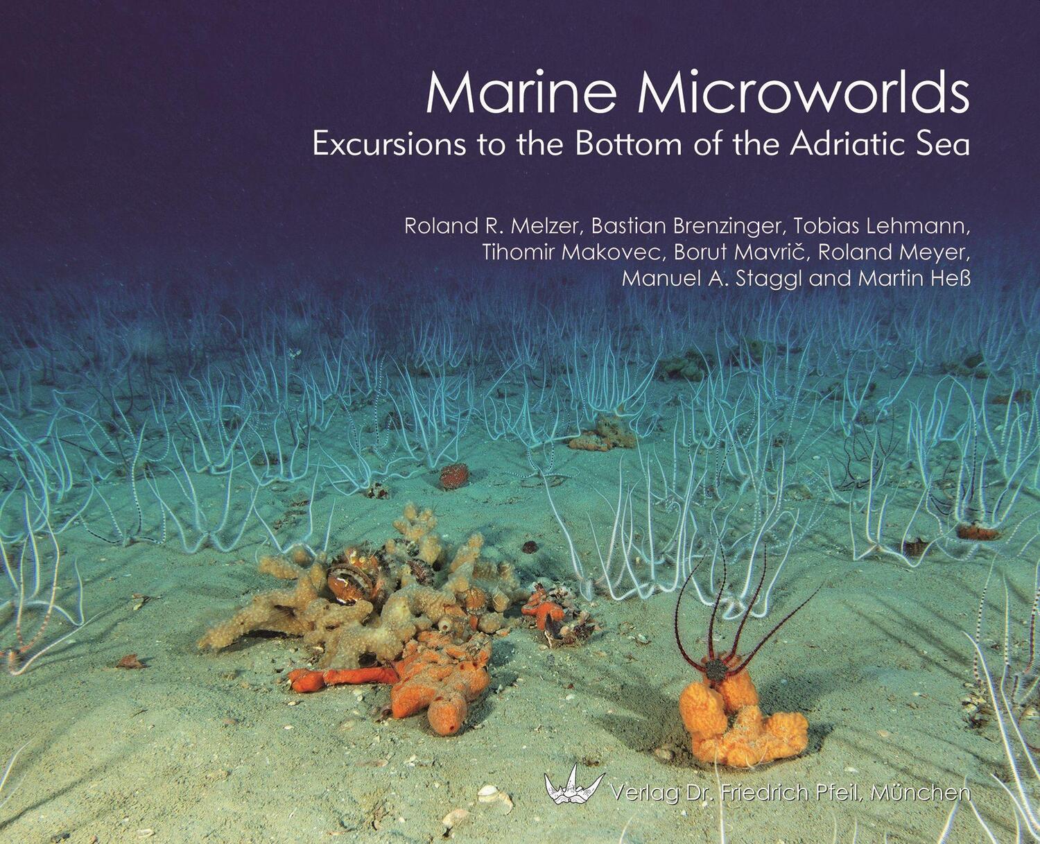 Cover: 9783899372731 | Marine Microworlds | Excursions to the Bottom of the Adriatic Sea