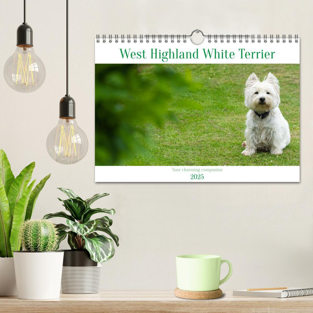 Bild: 9781325930739 | West Highland White Terrier - Your charming companion (Wall...