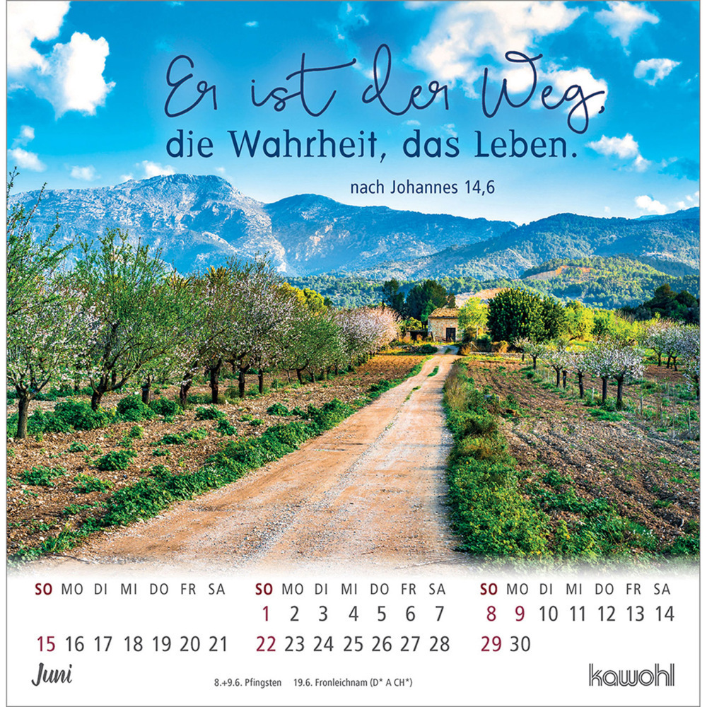 Bild: 9783754879856 | Ankommen &amp; leben 2025 | Postkartenkalender mit Bibelwort-Herzstücken