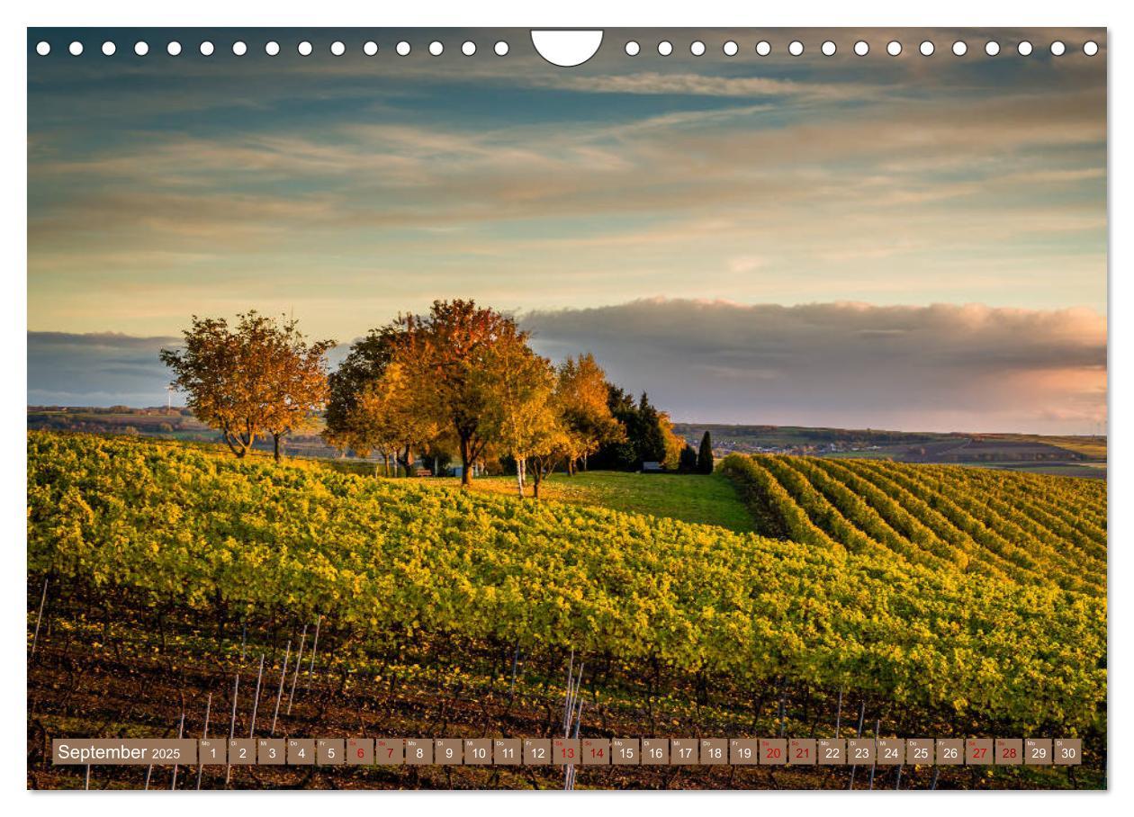 Bild: 9783435389353 | Rheinhessen-Impressionen (Wandkalender 2025 DIN A4 quer), CALVENDO...