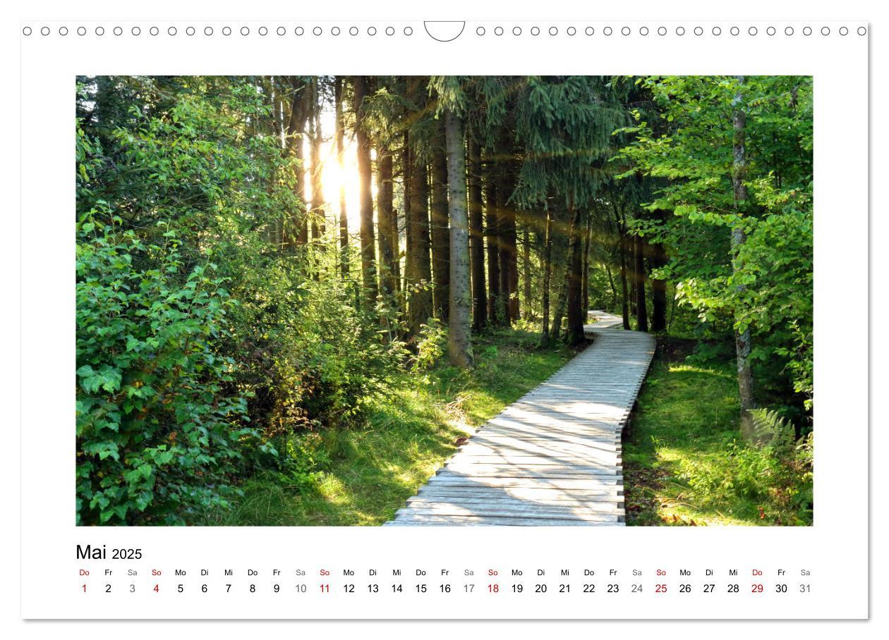 Bild: 9783435026593 | Rotes und Schwarzes Moor (Wandkalender 2025 DIN A3 quer), CALVENDO...