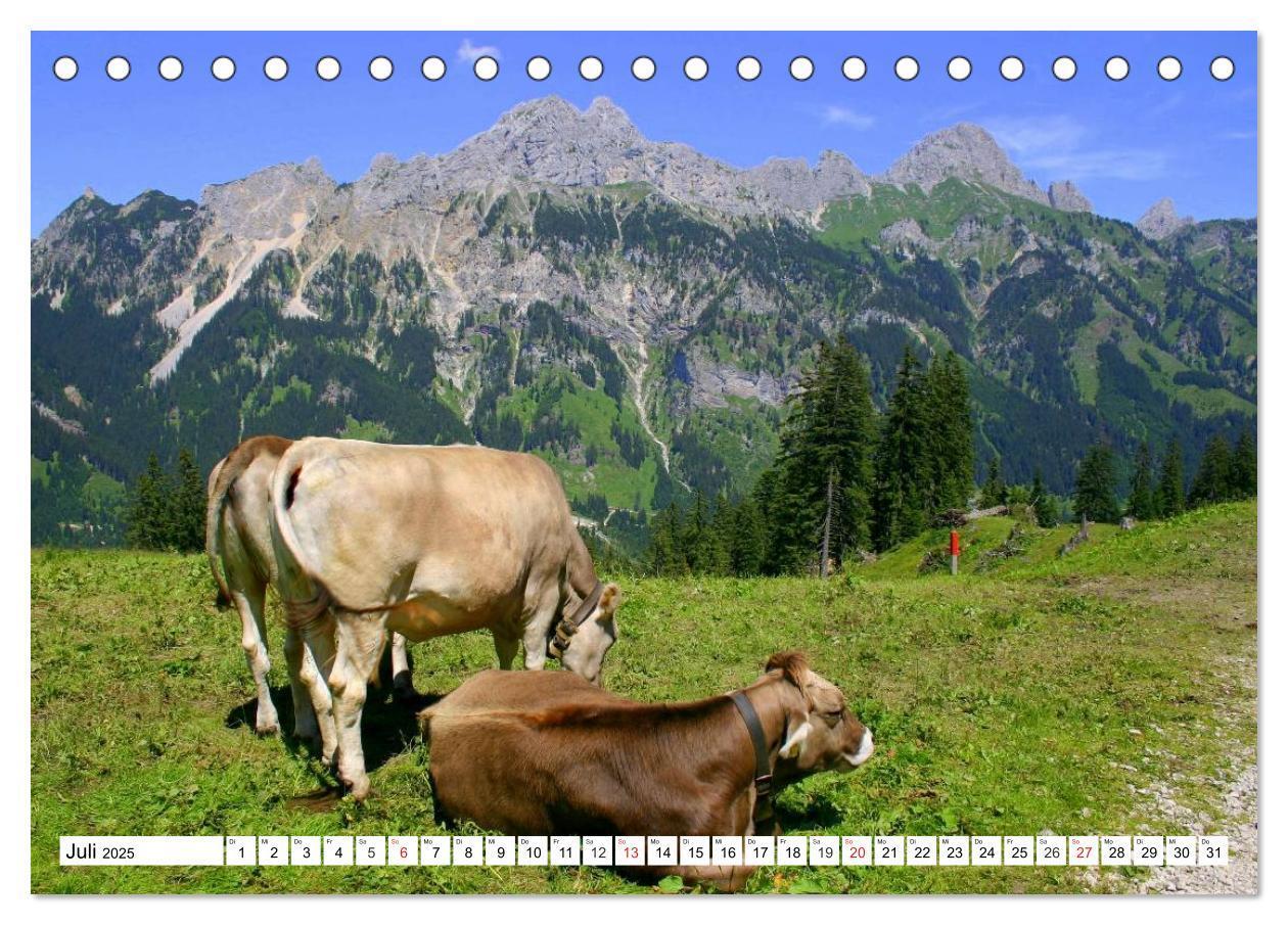 Bild: 9783435481439 | Geliebtes Tirol. Alpiner Zauber in Österreich (Tischkalender 2025...