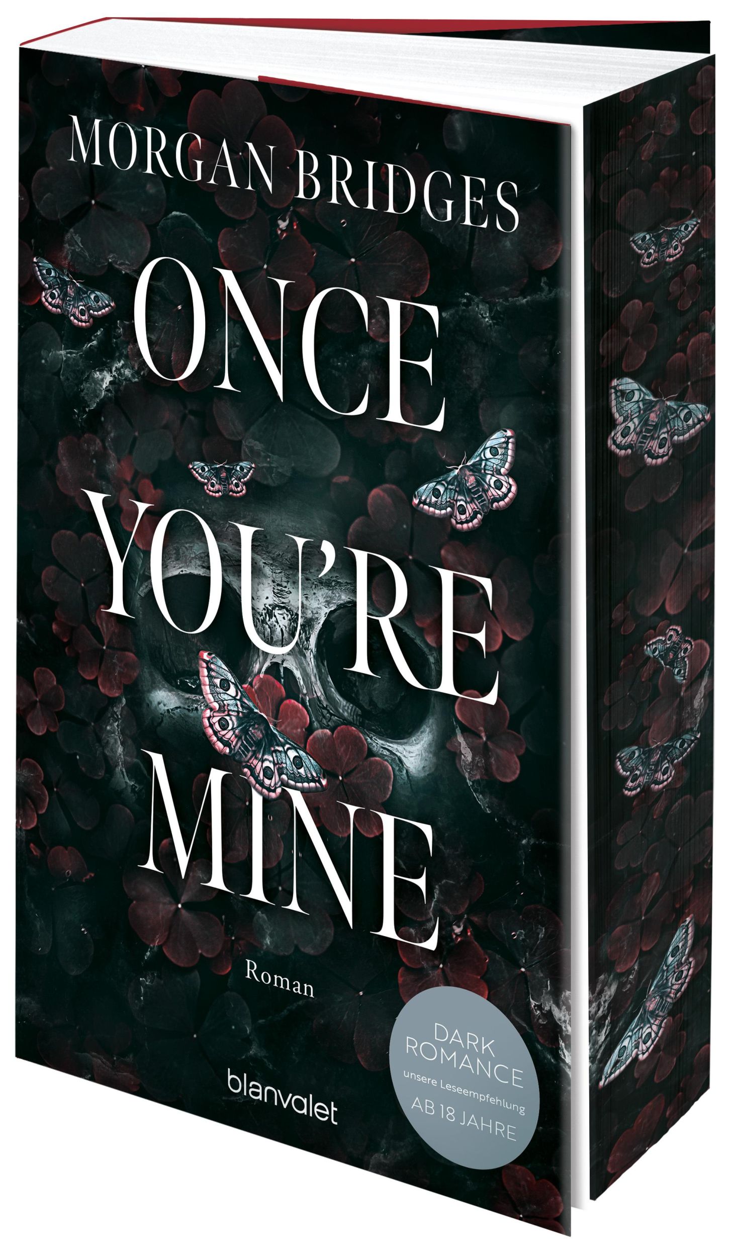 Cover: 9783734114540 | Once You're Mine | Morgan Bridges | Taschenbuch | Possessing Her