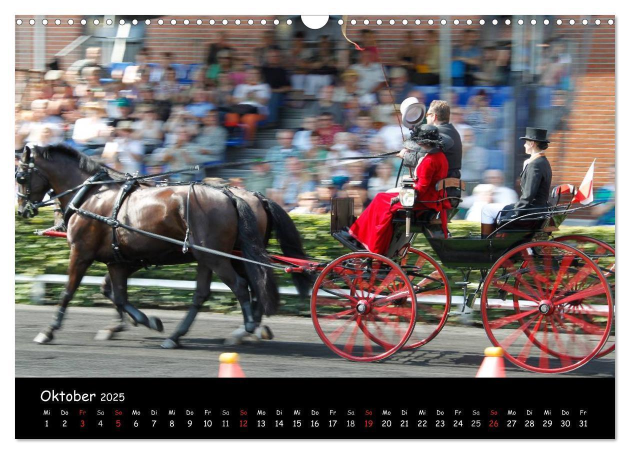 Bild: 9783435553457 | CIAT - Historischer Fahrsport in Celle (Wandkalender 2025 DIN A3...