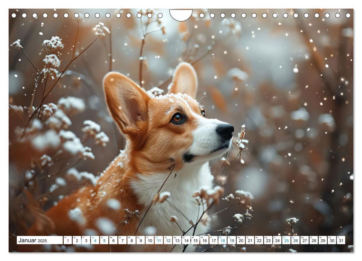 Bild: 9783383776069 | Happy Corgis (Wandkalender 2025 DIN A4 quer), CALVENDO Monatskalender