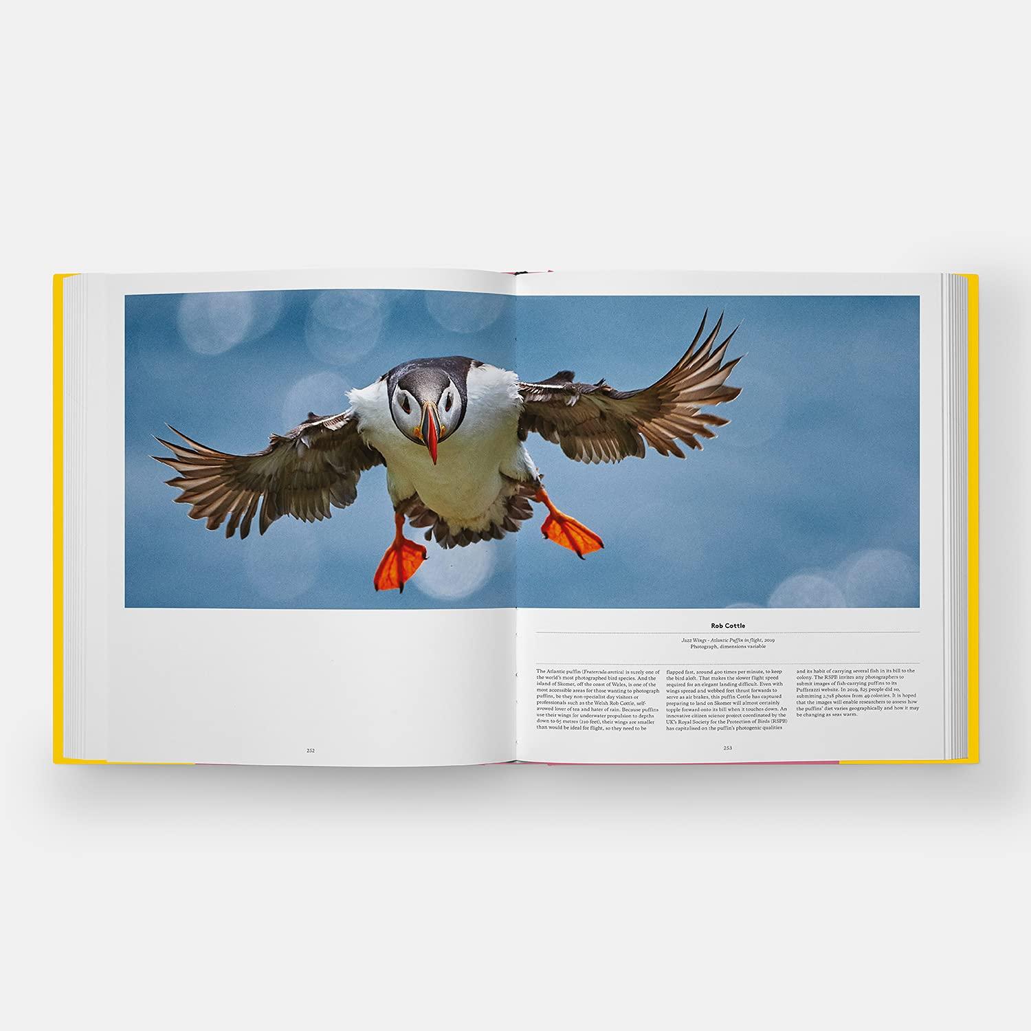 Bild: 9781838661403 | Bird | Exploring the Winged World | Katrina van Grouw (u. a.) | Buch