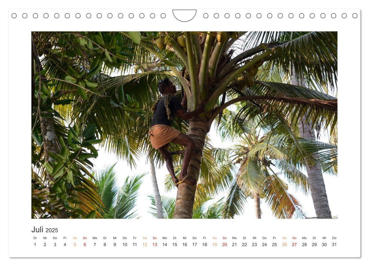 Bild: 9783435733903 | Kerala - Im Süden Indiens (Wandkalender 2025 DIN A4 quer), CALVENDO...