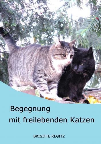 Cover: 9789403762593 | Begegnung mit freilebenden Katzen. | Porträts freilebender Katzen