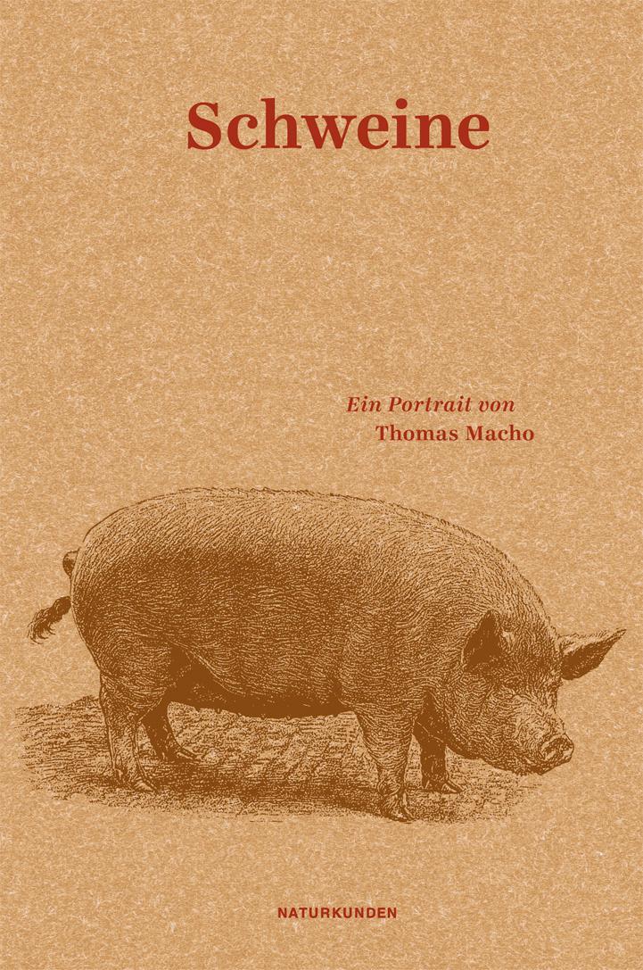 Cover: 9783957570994 | Schweine | Ein Portrait | Thomas Macho | Buch | Naturkunden | 155 S.