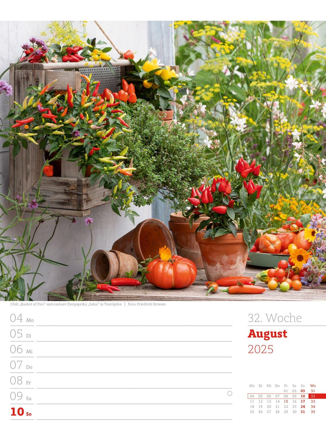 Bild: 9783838425993 | Gartenglück - Wochenplaner Kalender 2025 | Ackermann Kunstverlag