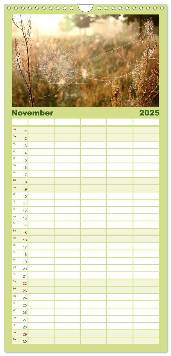 Bild: 9783457100844 | Familienplaner 2025 - Sanfte Natur mit 5 Spalten (Wandkalender, 21...