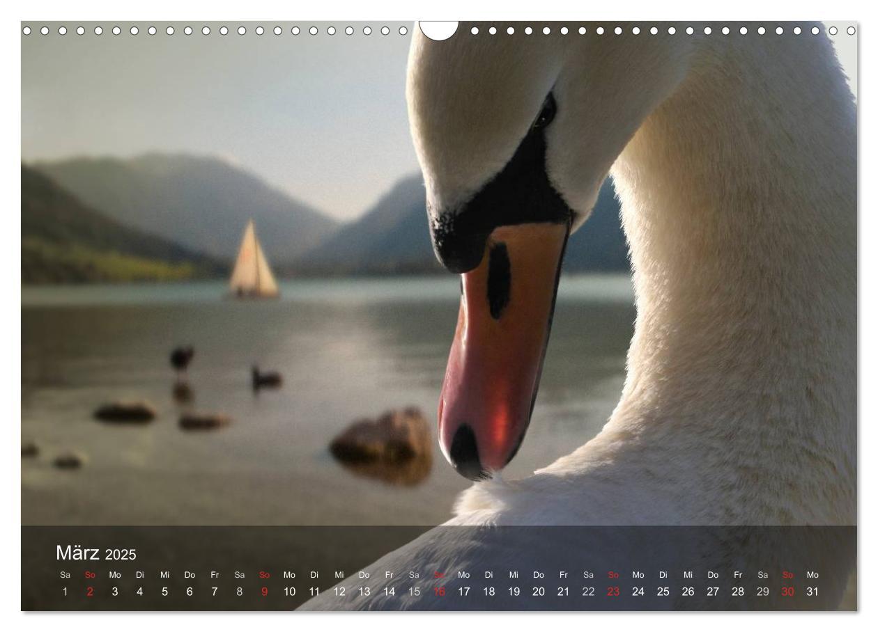 Bild: 9783435639403 | Nur ein Augenblick (Wandkalender 2025 DIN A3 quer), CALVENDO...