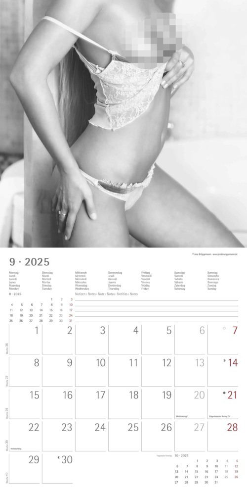 Bild: 4251732340988 | Alpha Edition - Feminine 2025 Broschürenkalender, 30x30cm,...