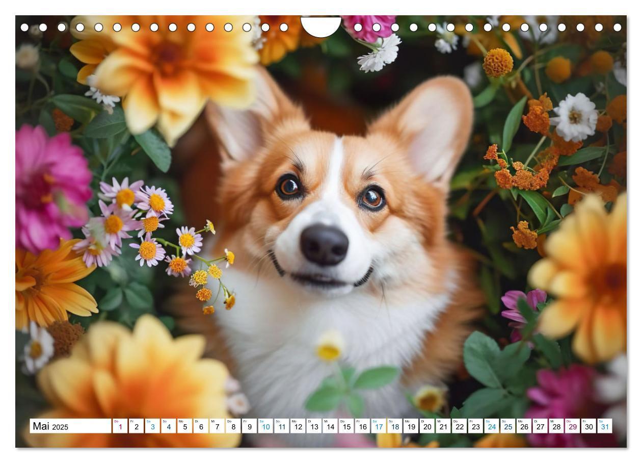 Bild: 9783383776069 | Happy Corgis (Wandkalender 2025 DIN A4 quer), CALVENDO Monatskalender