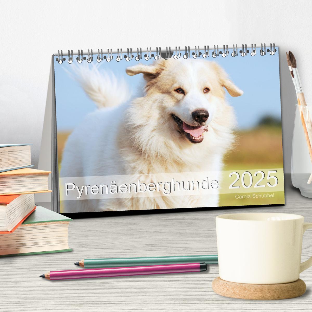 Bild: 9783435044719 | Pyrenäenberghunde (Tischkalender 2025 DIN A5 quer), CALVENDO...