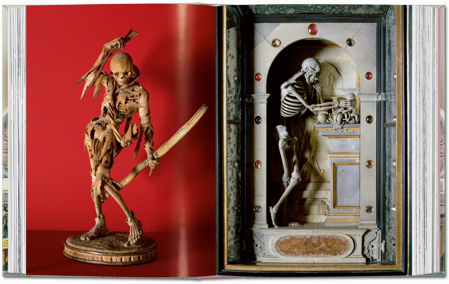 Bild: 9783836593786 | Massimo Listri. Cabinet of Curiosities. 40th Ed. | Paolucci (u. a.)