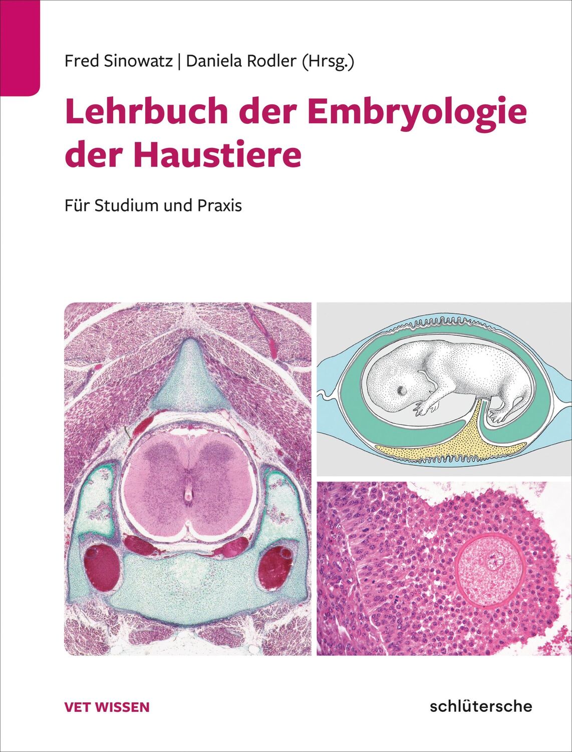 Cover: 9783842600546 | Lehrbuch der Embryologie der Haustiere | Fred Sinowatz (u. a.) | Buch