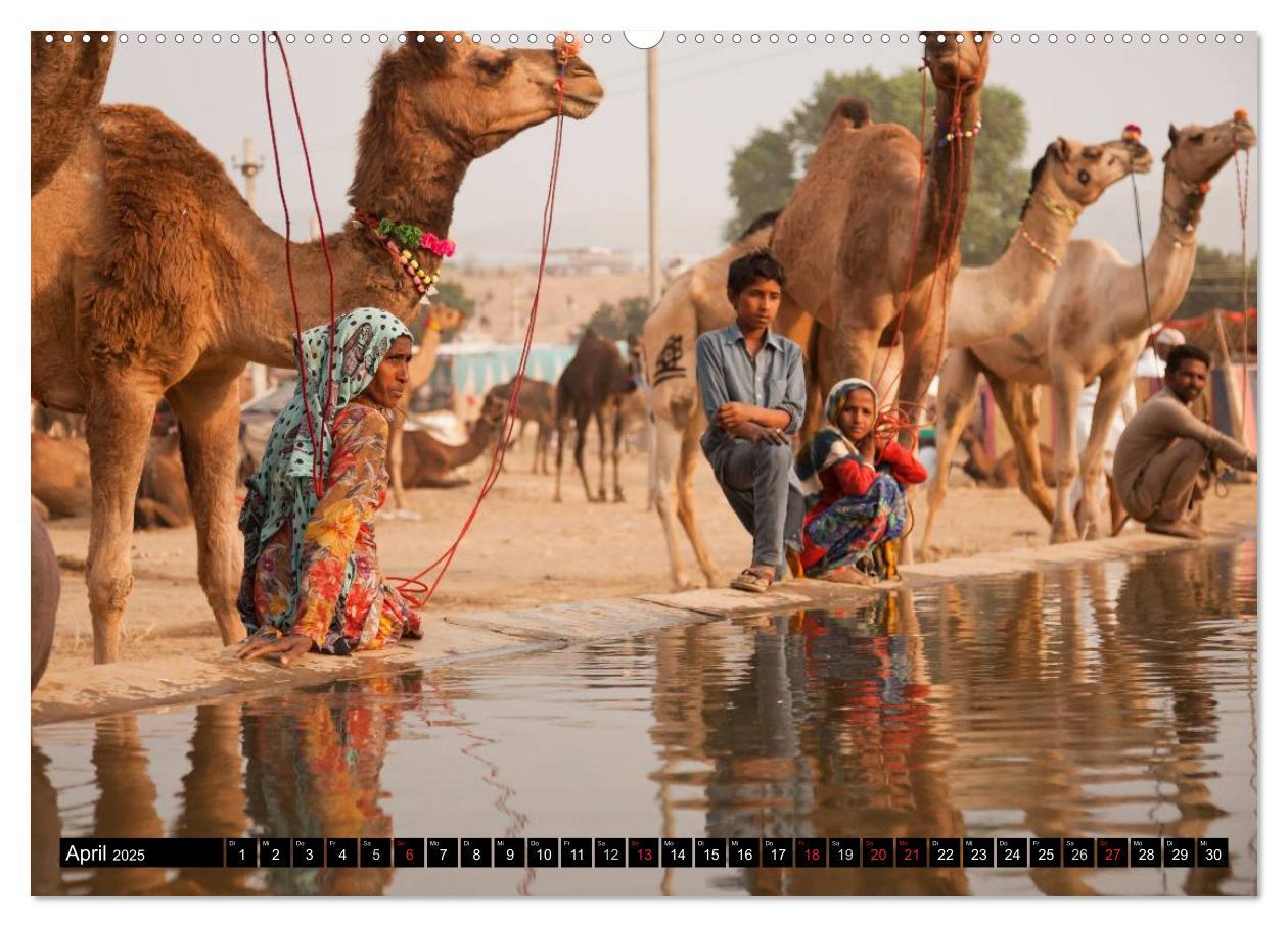 Bild: 9783435626779 | Rajasthan, Indien - Pushkar Mela (Wandkalender 2025 DIN A2 quer),...