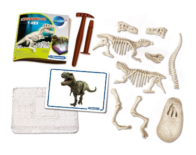 Bild: 8005125694044 | Ausgrabungs-Set - T-Rex fluoreszierend (Experimentierkasten) | Spiel