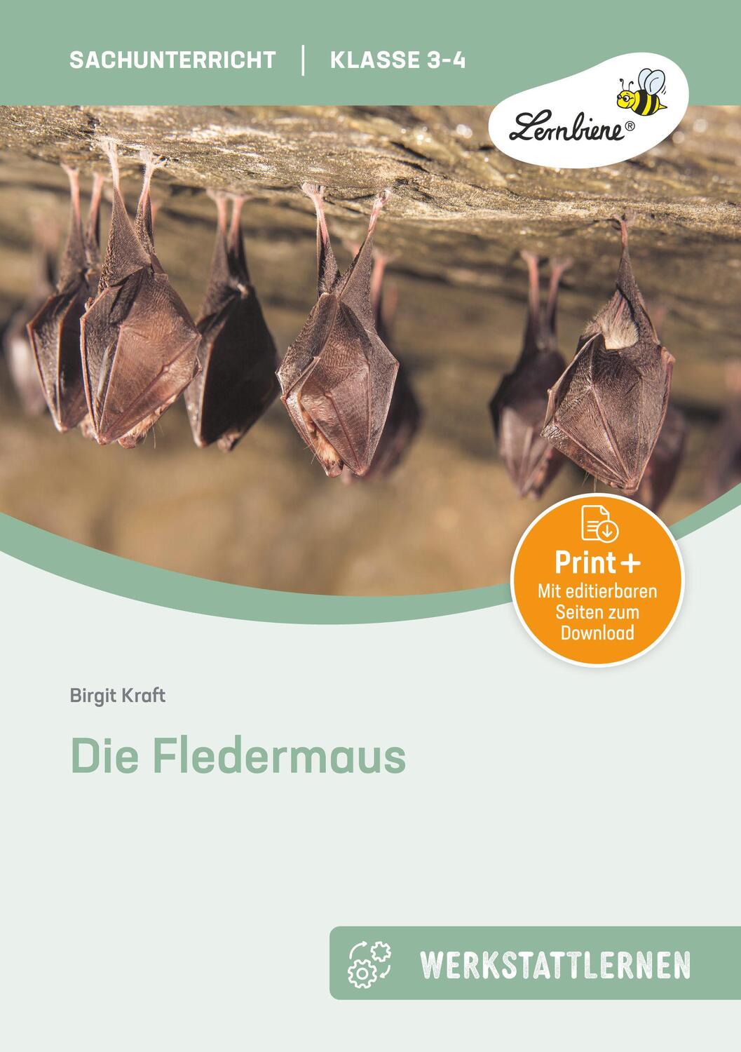 Cover: 9783956642913 | Die Fledermaus (Set) | Grundschule, Sachunterricht, Klasse 3-4 | Kraft