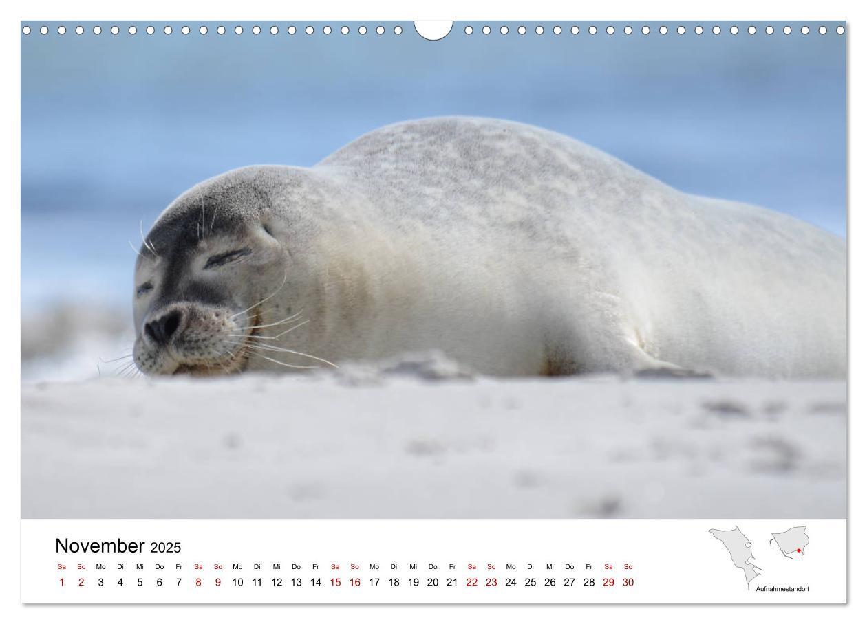 Bild: 9783435390304 | Mitreisekalender 2025 Helgoland (Wandkalender 2025 DIN A3 quer),...