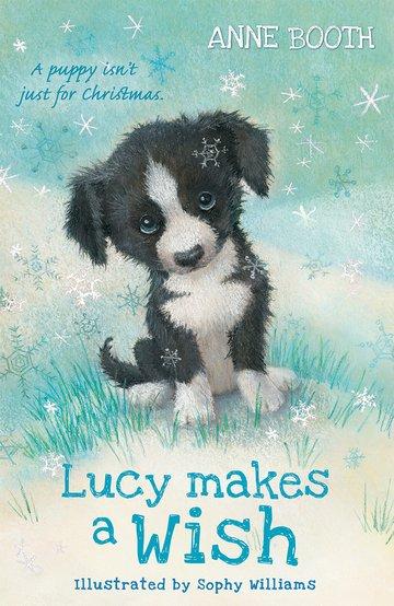 Cover: 9780192772480 | Lucy Makes a Wish | Anne Booth | Taschenbuch | Kartoniert / Broschiert