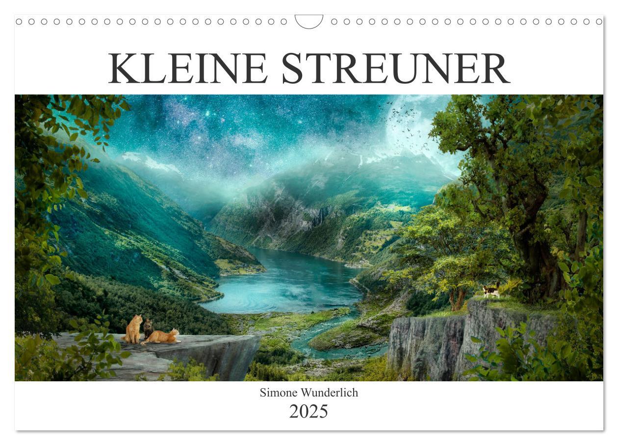 Cover: 9783435090716 | Kleine Streuner (Wandkalender 2025 DIN A3 quer), CALVENDO...