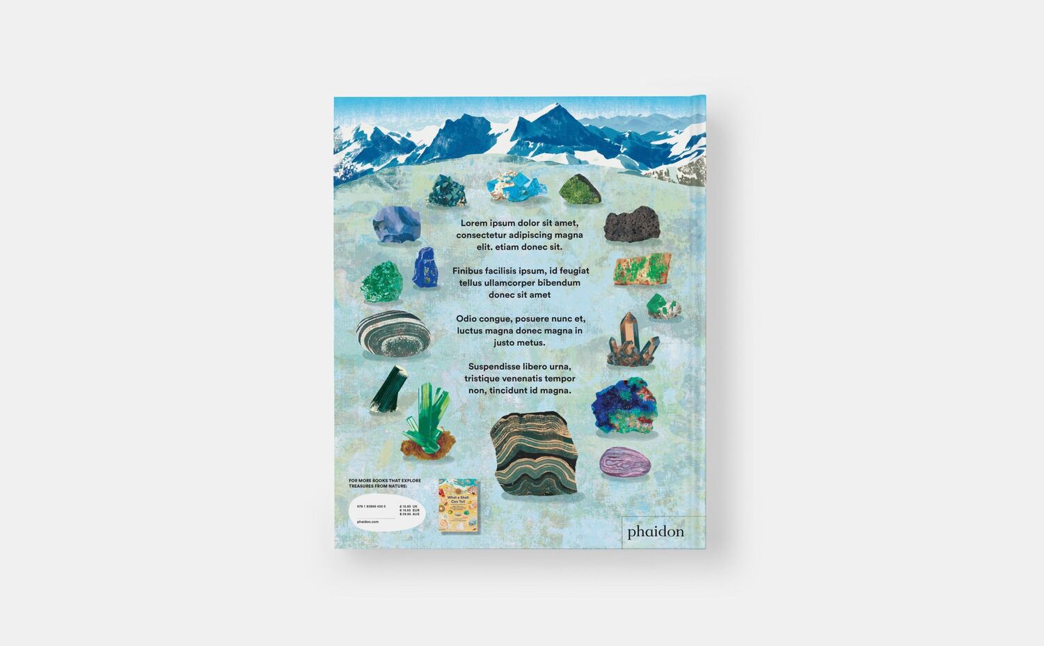 Bild: 9781838667894 | What a Rock Can Reveal | Maya Wei-Haas (u. a.) | Buch | Phaidon Press