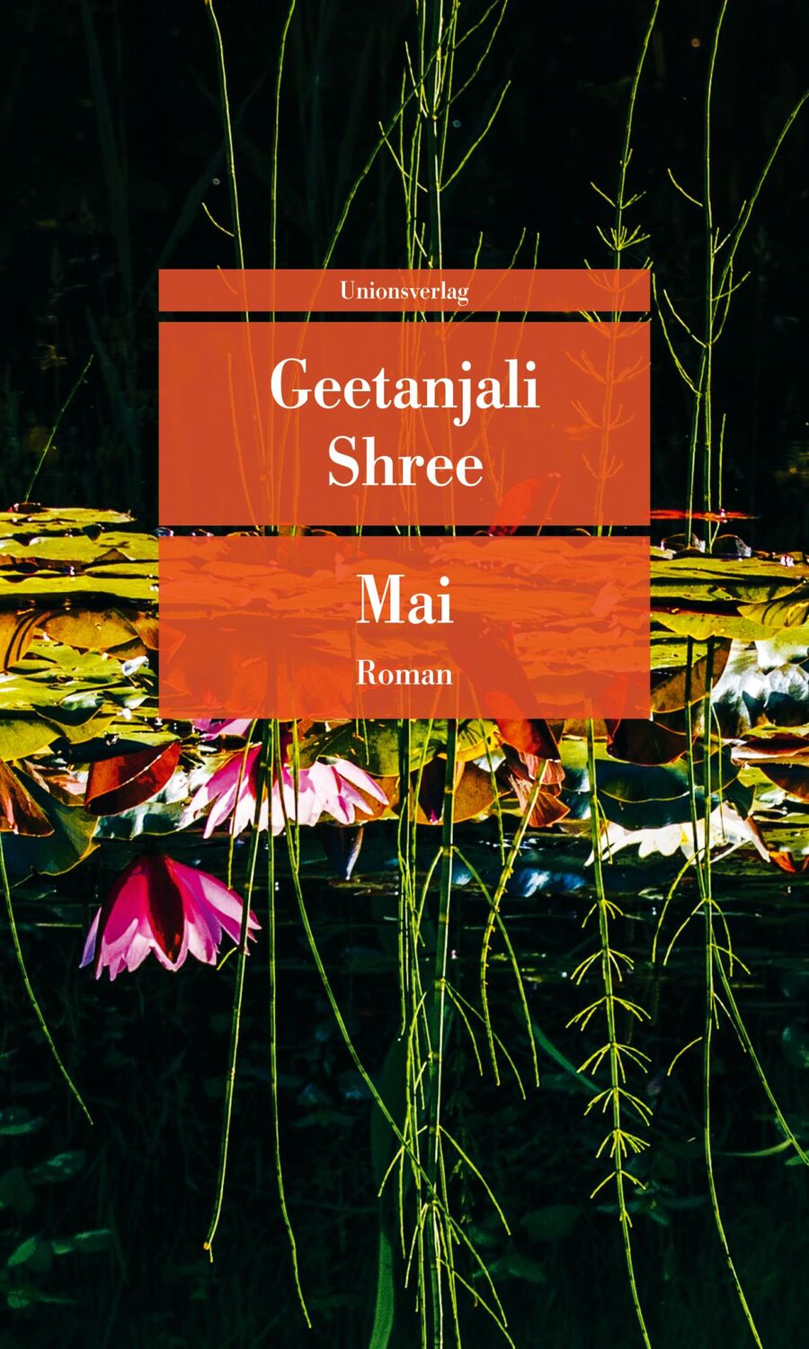 Cover: 9783293209749 | Mai | Roman | Geetanjali Shree | Taschenbuch | 244 S. | Deutsch | 2023