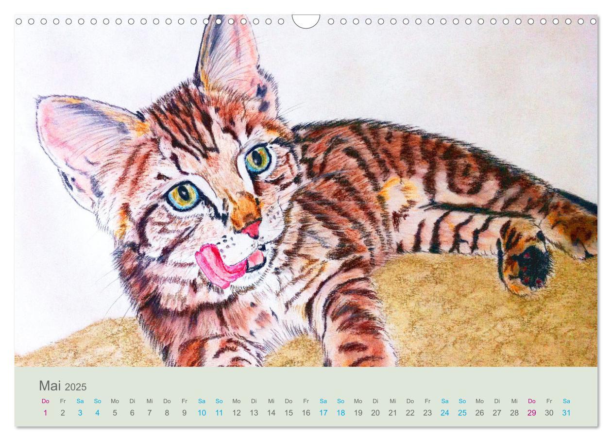 Bild: 9783435097487 | KATZEN PortraiTierART (Wandkalender 2025 DIN A3 quer), CALVENDO...