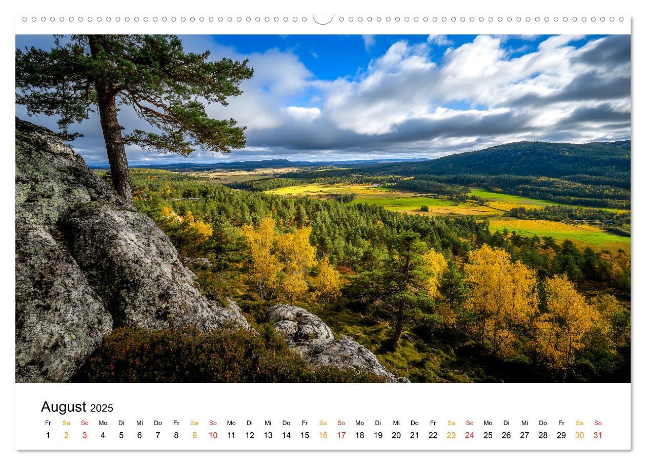 Bild: 9783457224793 | Mystik der Wälder (Wandkalender 2025 DIN A2 quer), CALVENDO...