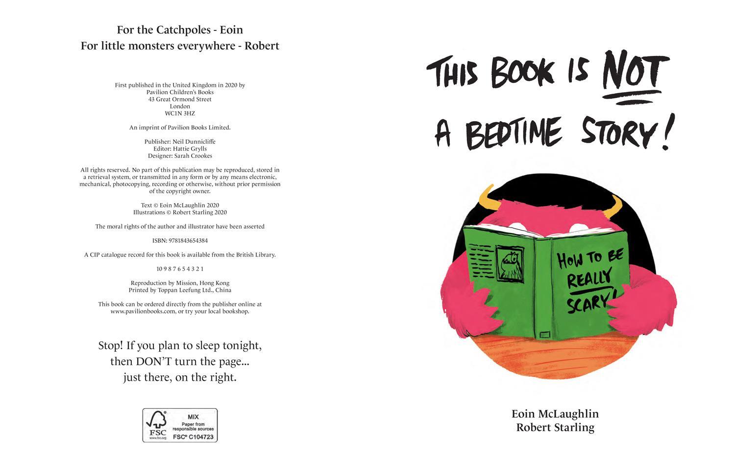 Bild: 9781843654384 | This Book is Not a Bedtime Story | Eoin McLaughlin | Taschenbuch