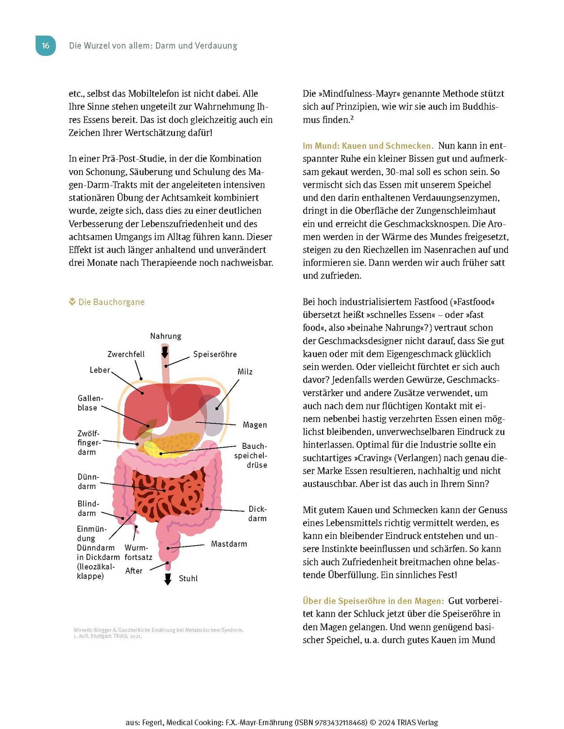 Bild: 9783432118468 | Medical Cooking: F.X. Mayr-Ernährung | Sepp Fegerl (u. a.) | Buch