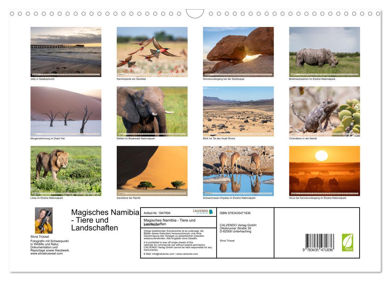 Bild: 9783435471836 | Magisches Namibia - Tiere und Landschaften (Wandkalender 2025 DIN...