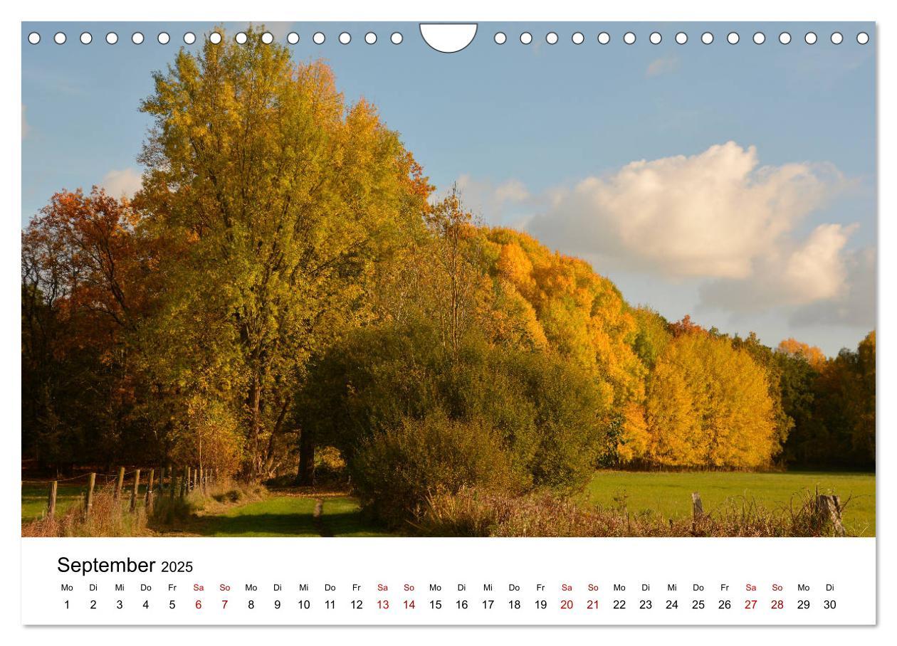 Bild: 9783435348046 | Uelzen Impressionen (Wandkalender 2025 DIN A4 quer), CALVENDO...