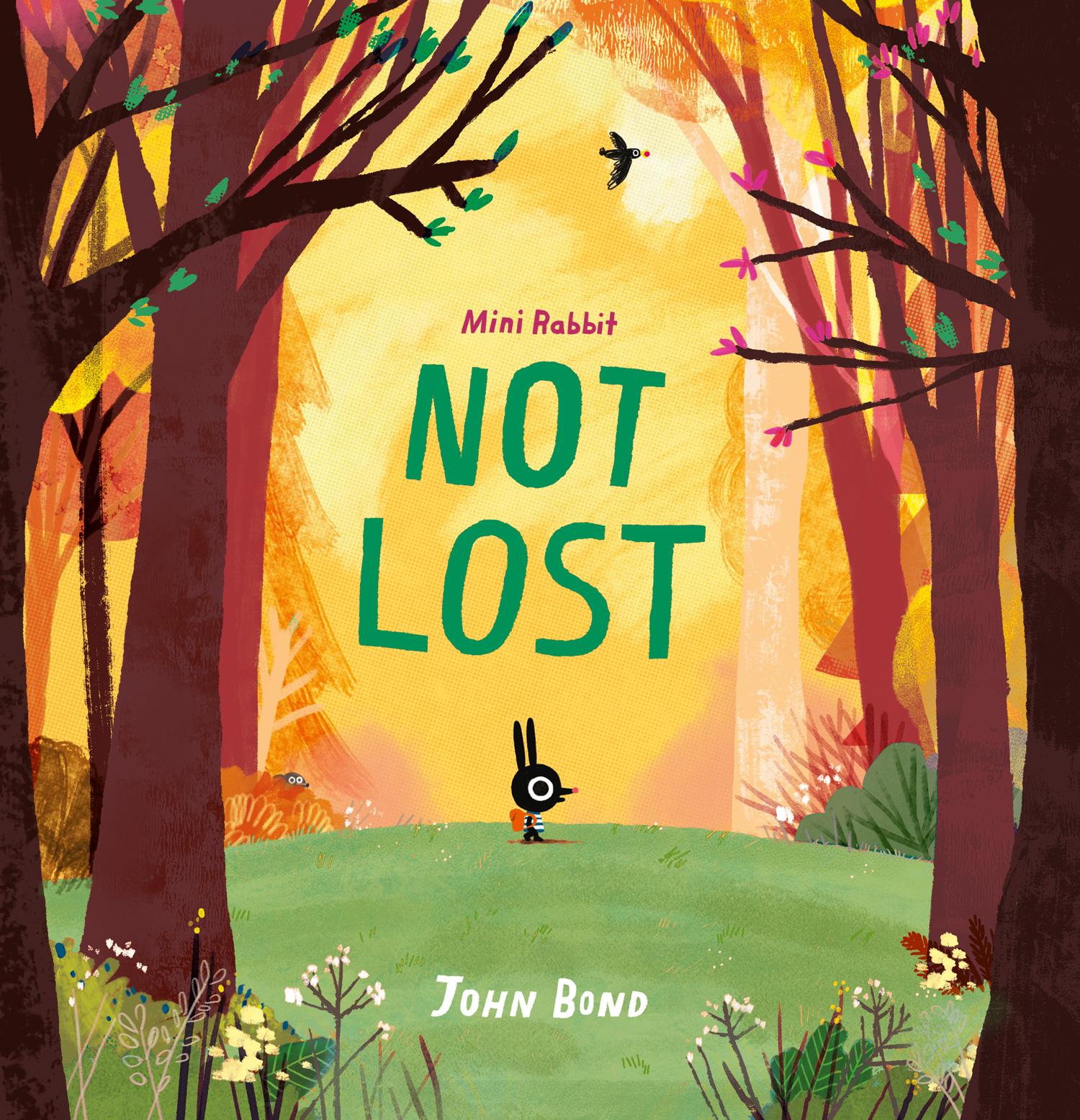 Cover: 9780008264840 | Mini Rabbit -- Mini Rabbit Not Lost | John Bond | Taschenbuch | 32 S.