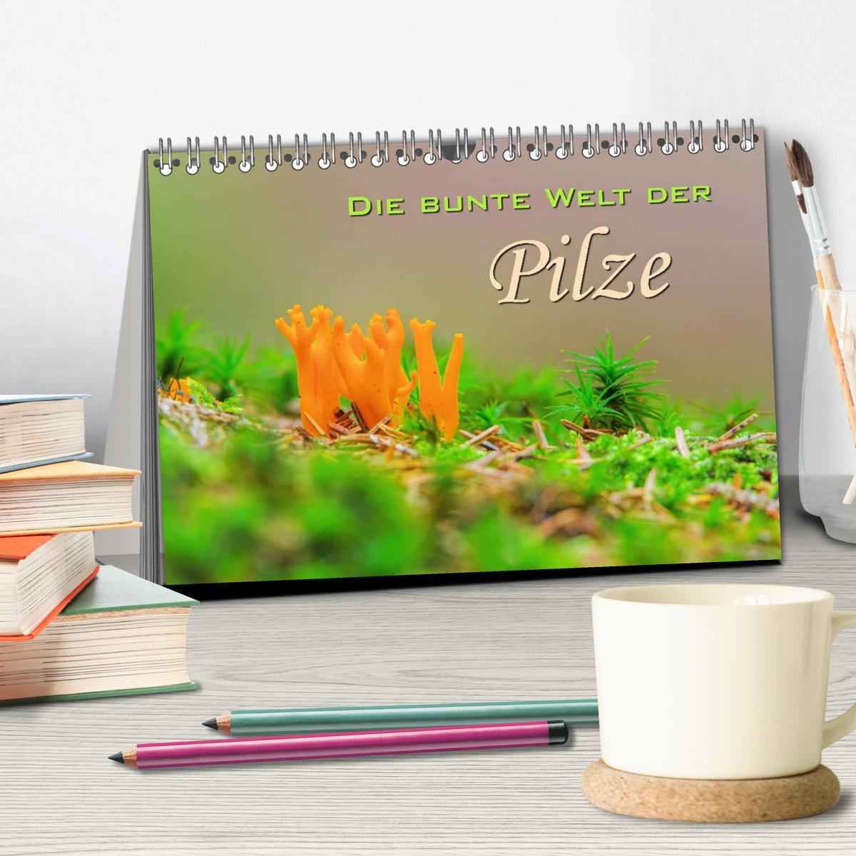 Bild: 9783435178933 | Die bunte Welt der Pilze (Tischkalender 2025 DIN A5 quer), CALVENDO...