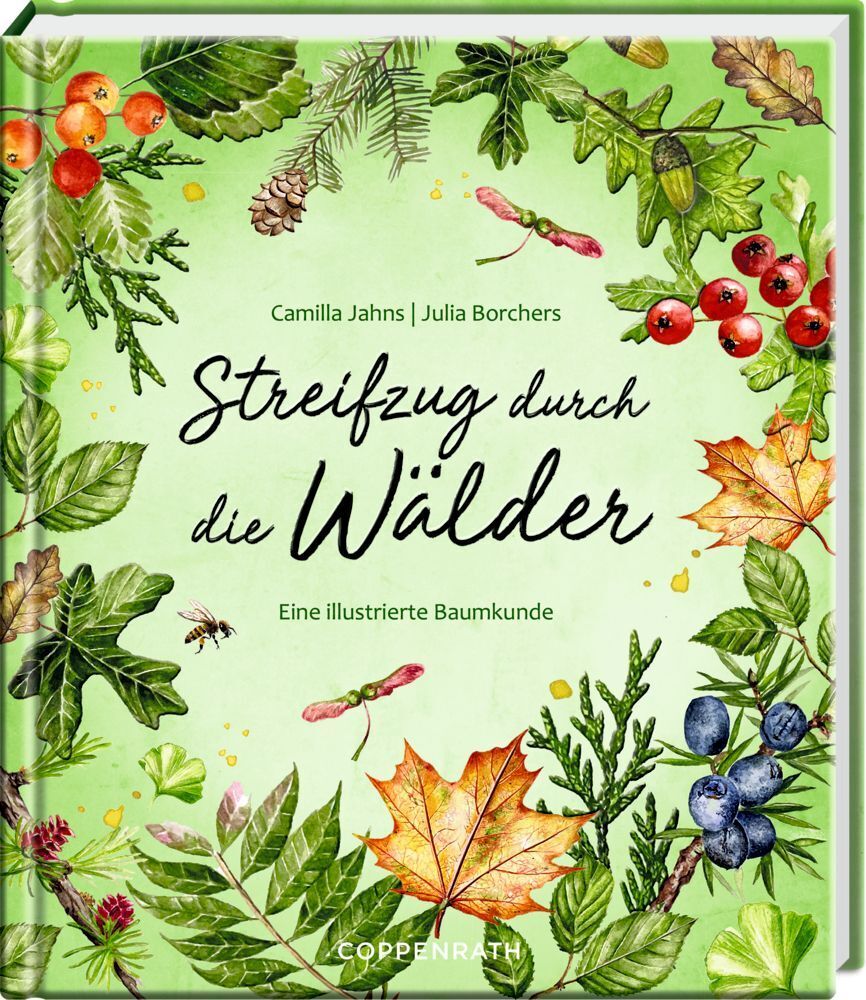 Cover: 9783649642268 | Streifzug durch die Wälder | Eine illustrierte Baumkunde | Jahns