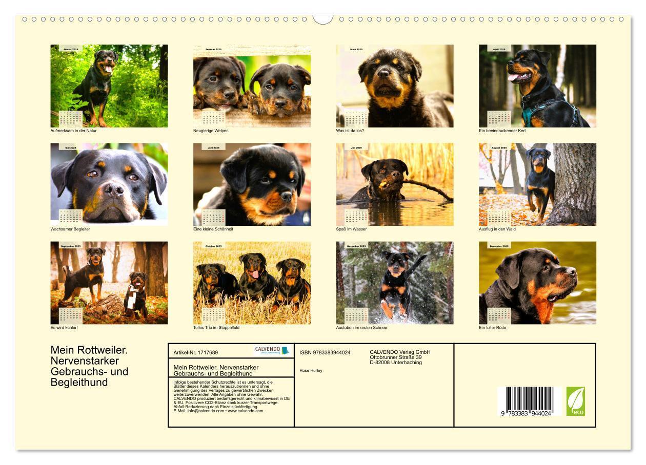 Bild: 9783383944024 | Mein Rottweiler. Nervenstarker Gebrauchs- und Begleithund...