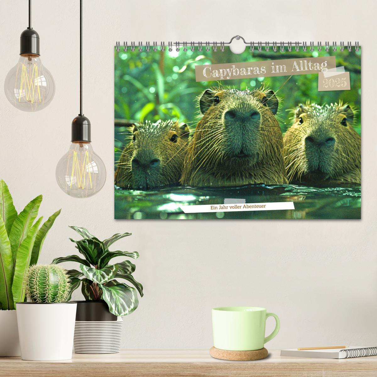 Bild: 9783457163931 | Capybaras im Alltag - Ein Jahr voller Abenteuer (Wandkalender 2025...