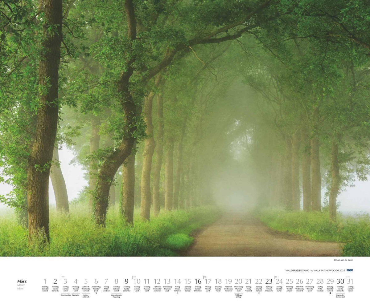 Bild: 4250809653426 | Waldspaziergang 2025 - Fotokunst-Kalender - Querformat 60 x 50 cm -...