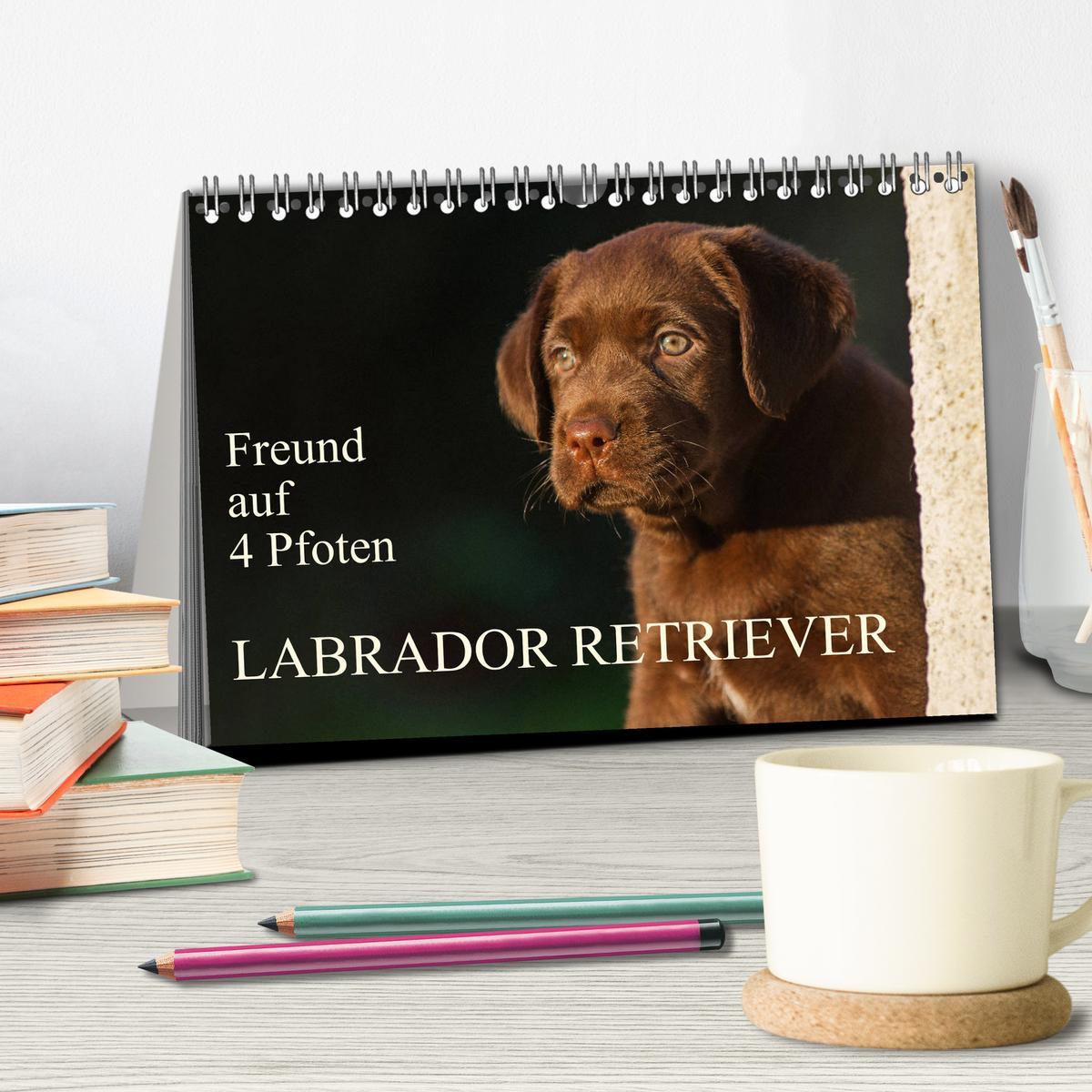 Bild: 9783435311774 | Freund auf 4 Pfoten - Labrador Retriever (Tischkalender 2025 DIN A5...